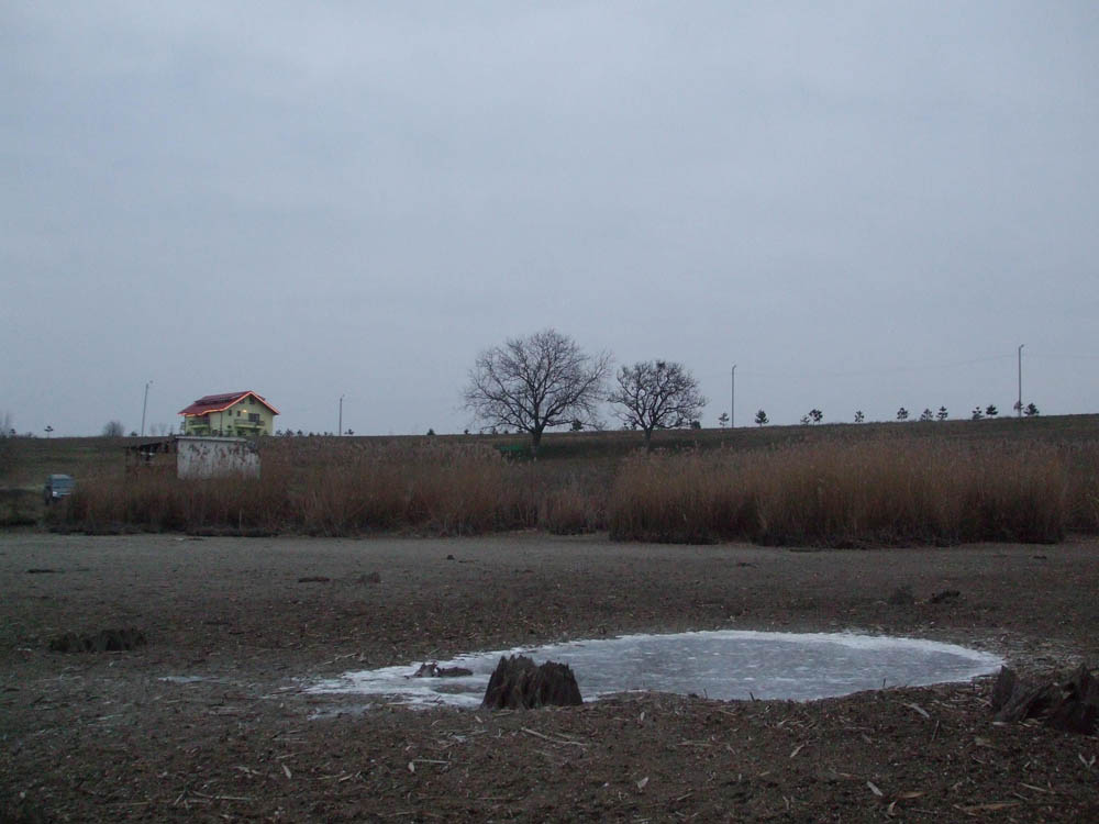 TANCABESTI SECAT - DSCF3484.jpg